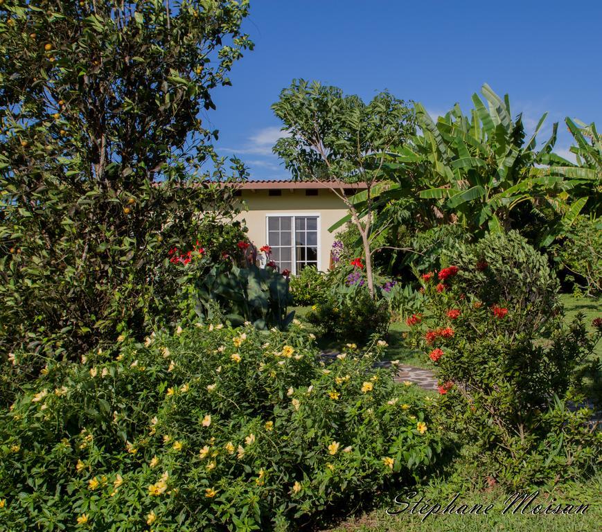 Cabanas Los Colibris San Carlos Pokoj fotografie