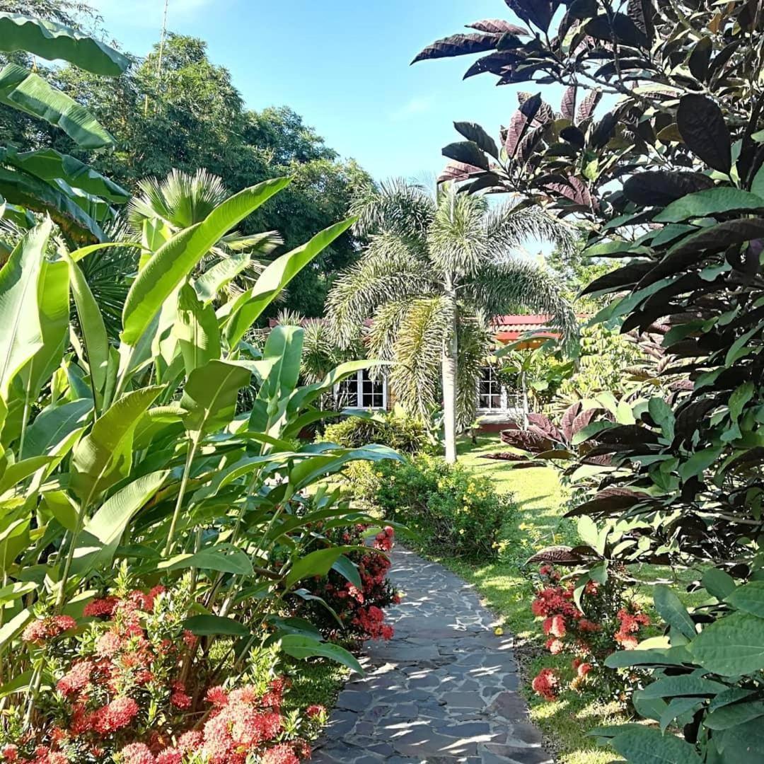 Cabanas Los Colibris San Carlos Exteriér fotografie